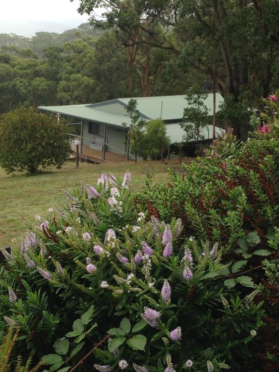 Southern Anchorage Retreat Wattle Hill Esterno foto